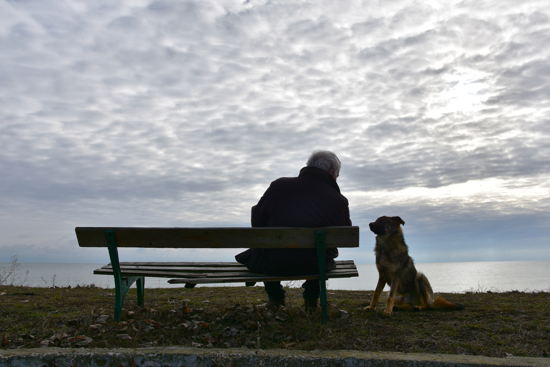 Lonely old man with dog