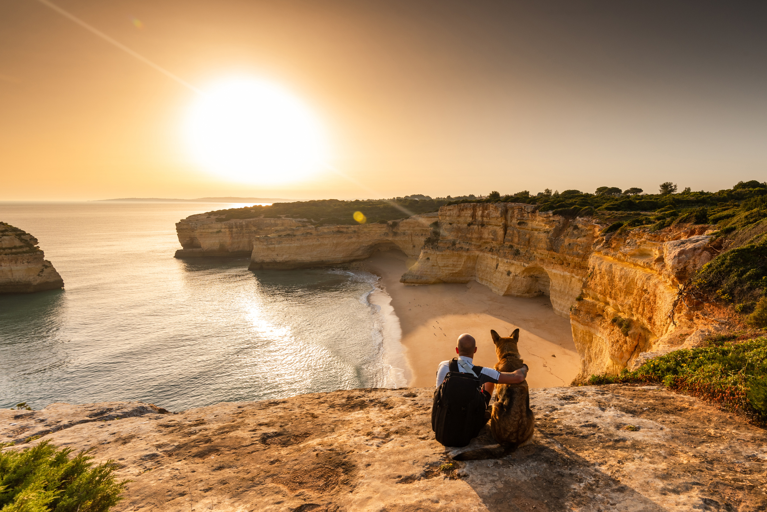  Man and Dog Looking at  Nature View